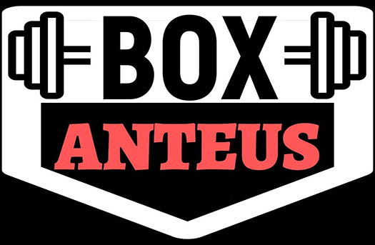 Box Anteus